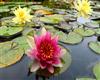 00845_watereddown_2560x1600