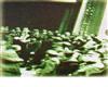 UPLOADED_1952'de İstanbulda birduruşmadan çıkarken