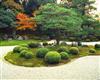 UPLOADED_029