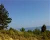 UPLOADED_11082009535