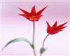 FD074